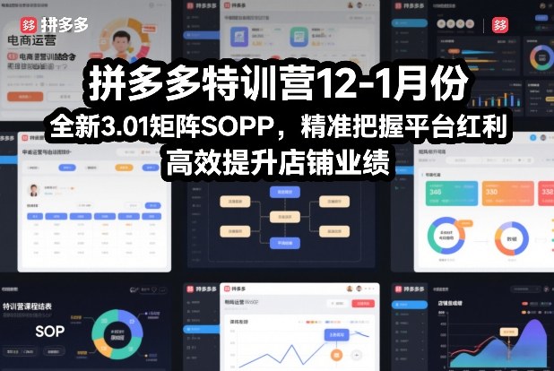 拼多多特训营12-1月份，全新3.01矩阵Sop，精准把握平台红利，高效提升店铺业绩-weicye