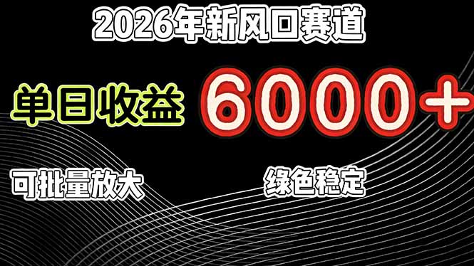 2026年新风口赛道，当日6000+以上，可批量放大，月收入20万+，长期绿色稳定的项目-weicye