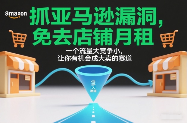 抓亚马逊漏洞，免去店铺月租，一个流量大竞争小，让你有机会成大卖的赛道-weicye
