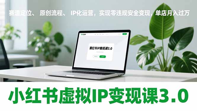 小红书虚拟IP变现课3.0，赛道定位、原创流程、IP化运营，实现零违规安全变现，单店月入过万-weicye