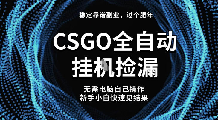 【稳定副业】全球最热门游戏CSGO全自动捡漏，最新玩法，新手小白日入5张+【揭秘】-weicye