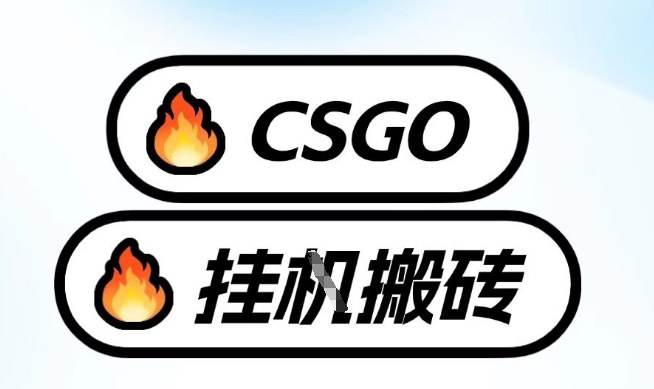 真全网独家CSGO挂G，最新玩法,单日捡漏1K+，不用电脑，不用打游戏【揭秘】-weicye