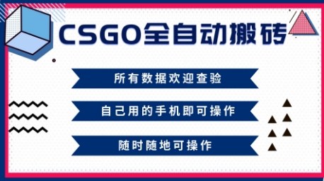 CSGO全自动搬砖，年底钱回家好项目，当天可拿到结果，新手小白轻松月入1W+【揭秘】-weicye