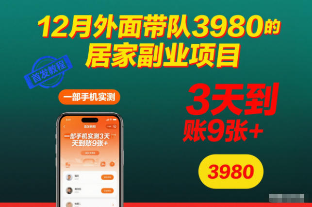 12月外面带队3980的居家副业项目，一部手机实测3天到账9张+，首发教程【揭秘】-weicye