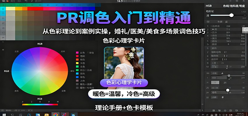 PR调色入门到精通：从色彩理论到案例实操，婚礼/医美/美食多场景调色技巧-weicye