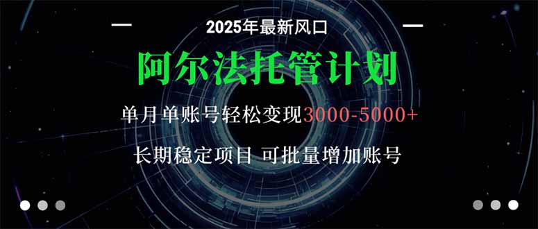 阿尔法托管计划 单账号月入3000-5000，长期稳定项目，新手小白轻松上手。-weicye