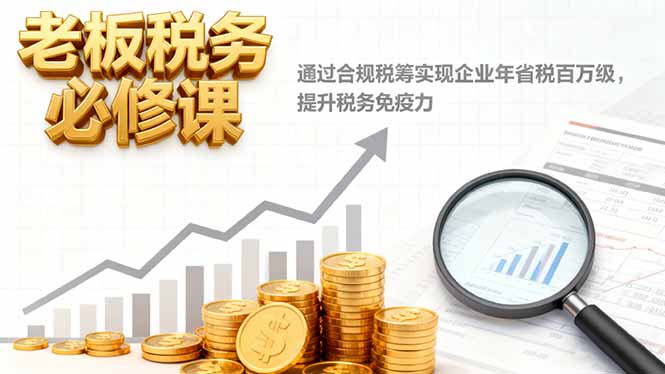 老板税务必修课，通过合规税筹实现企业年省税百万级，提升税务免疫力-weicye