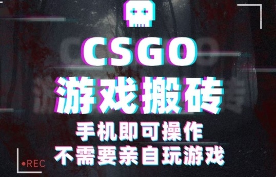 CSGO游戏挂G捡漏，单日扫货5张+，年底小高峰上车可吃肉，手机即可操作，兼职副业创业网创【揭秘】-weicye
