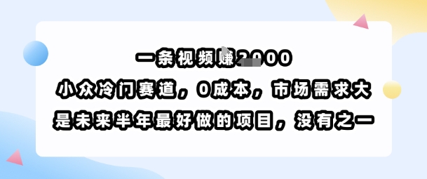 一条视频挣1k，小众冷门赛道，0成本，市场需求大，是未来半年最好做的项目，没有之一-weicye
