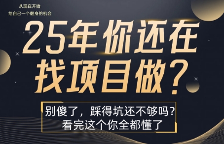 25年，你还在疯狂的找项目吗？别傻了，看完这个你都懂了【揭秘】-weicye