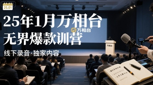 25年1月万相台无界爆款特训营线下录音-weicye