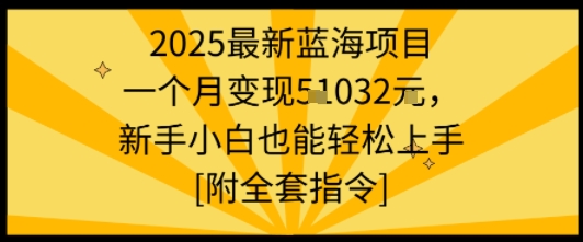 2025最新蓝海项目一个月变现1w+新手小白也能轻松上手【附全套指令】-weicye