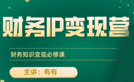 有有老师·财务IP变现营，财务知识变现必修课-weicye