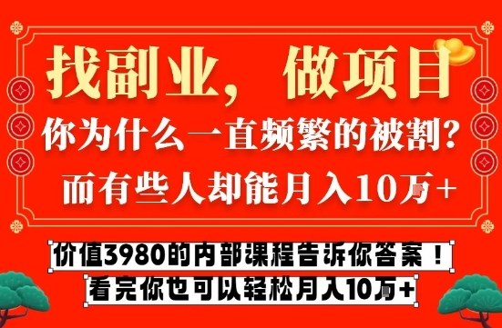 价值3980的网创内部课程，告诉你互联网创业月入10个W的秘密【揭秘】-weicye