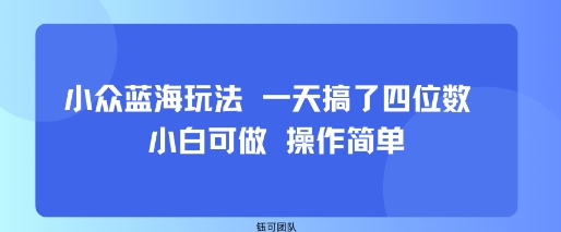 小众蓝海玩法 一天搞了四位数 小白可做 操作简单-weicye