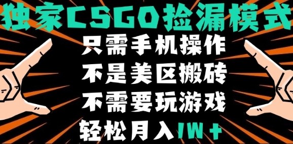 CSGO自动捡漏项目，最新独家玩法，不是美区搬砖，不需要了解和玩游戏，新手小白轻松月入1W+【揭秘】-weicye