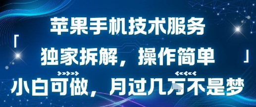 苹果手机技术服务，独家拆解，操作简单，小白可做，月过1W不是梦-weicye
