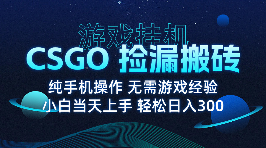 8月最新游戏搬砖，CSGO纯挂机，不需要玩游戏，实现真挂机，月入1W+-weicye