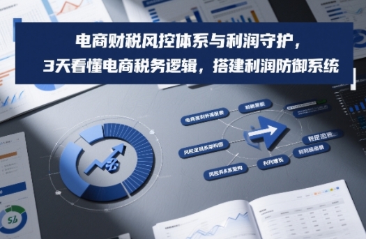 电商财税风控体系与利润守护，3天看懂电商税务逻辑，搭建利润防御系统-weicye