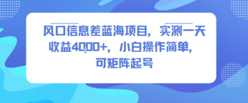 风口信息差蓝海项目，实测一天收益4k+，小白操作简单，可矩阵起号-weicye