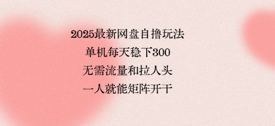 2025最新网盘自撸玩法，单机每天稳下3张，无需流量和拉人头，一个人就可轻松矩阵，全网独一份【揭秘】-weicye