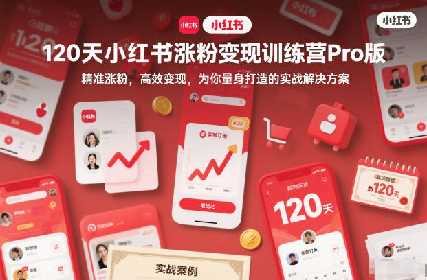 120天小红书涨粉变现训练营Pro版，​精准涨粉，高效变现​，为你量身打造的实战解决方案-weicye