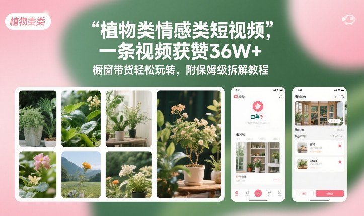 植物类情感类短视频，一条视频获赞36W+，橱窗带货轻松玩转，附保姆级拆解教程-weicye