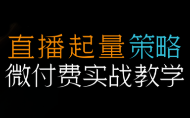 半野老师·直播带货起量与微付费必学课视频号(更新2026)-weicye