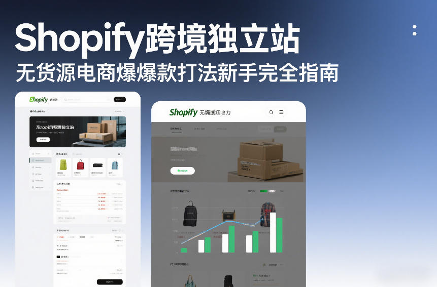 Shopify跨境独立站无货源电商爆款打法新手完全指南-weicye