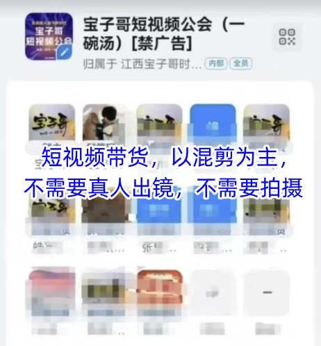 宝子哥头部团队短视频带货，以混剪为主，不需要真人出镜，不需要拍摄【更新26年1月】-weicye