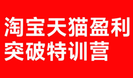 玺承·淘宝天猫盈利突破特训营(25年12月线下课)【音频+字幕】-weicye