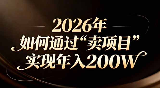 站在2026年的十字路口：一个普通人如何通过卖项目实现年入200万-weicye